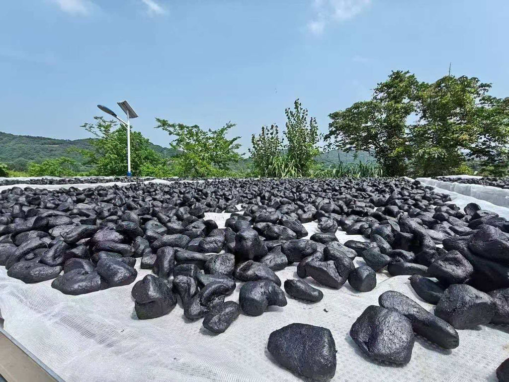 Huangjing Fruit | Nine-Steam-Nine-Sun-Dry Traditional Craft | Authentic Jiuhua Mountain Ingredients | Glossy, Soft & Chewy | Xiyi