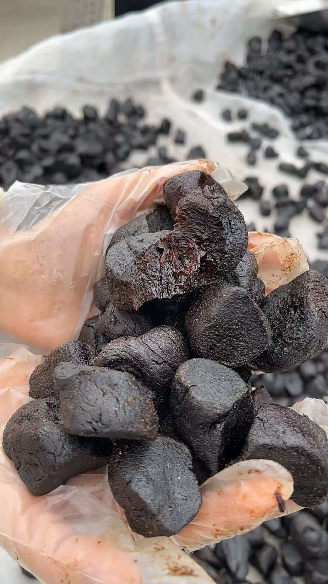 Polygonatum Fruit (Ready-to-Eat)